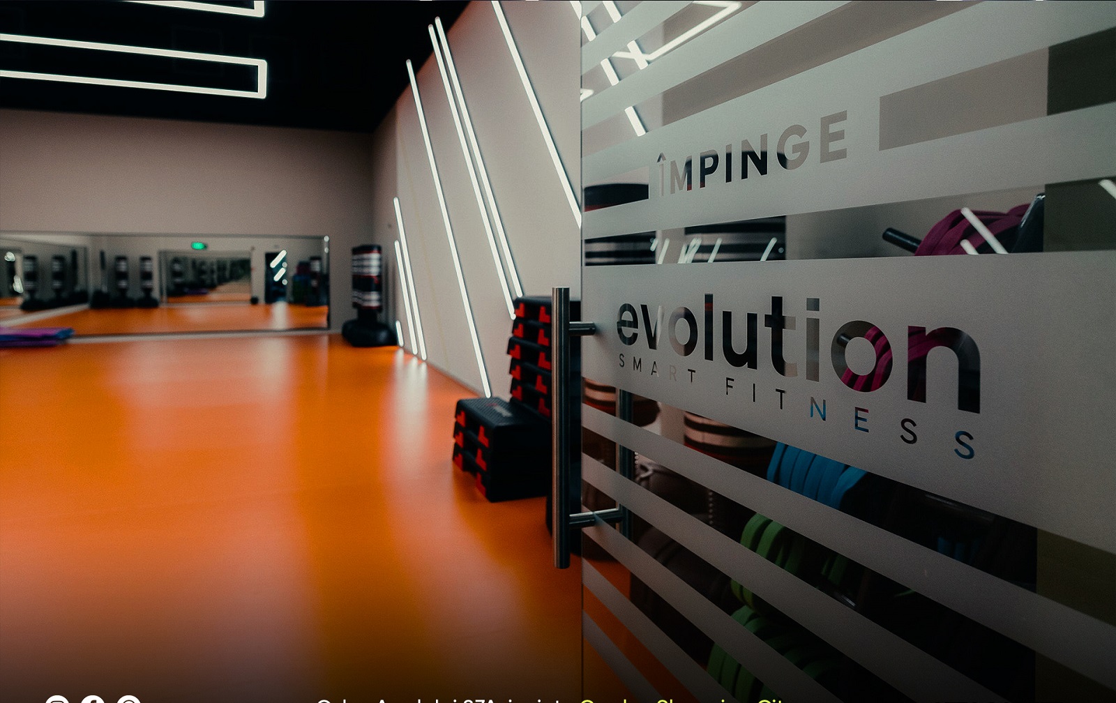 Evolution fitness